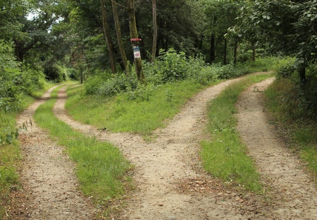 Carrefour symbolisant un choix posé en conscience.